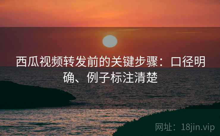 西瓜视频转发前的关键步骤:口径明确、例子标注清楚