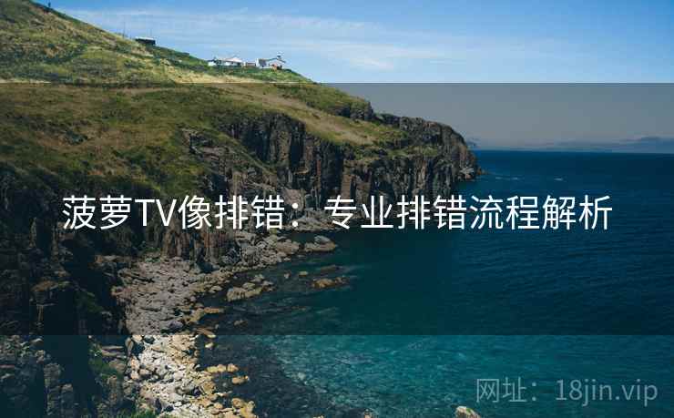 菠萝TV像排错:专业排错流程解析