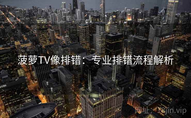 菠萝TV像排错:专业排错流程解析