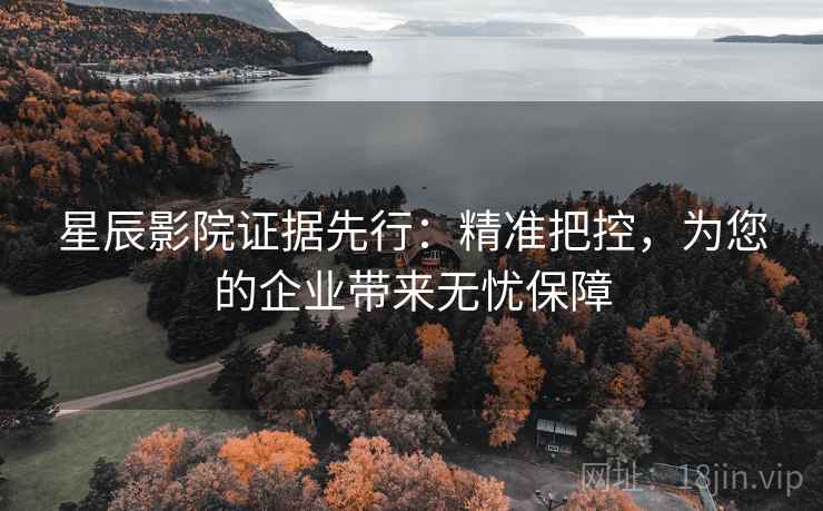 星辰影院证据先行:精准把控,为您的企业带来无忧保障